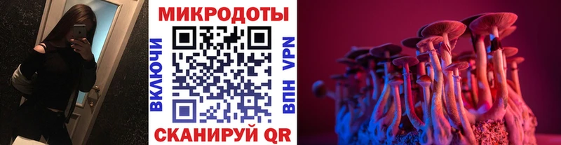 Галлюциногенные грибы Cubensis  Купить  Анжеро-Судженск 